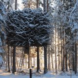 Tree Hotel