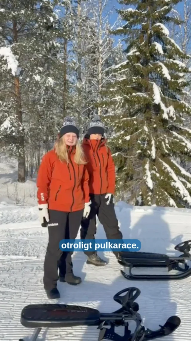 På tisdag nästa vecka den 3/3 är det dags för vårt årliga pulkarace. Du anmäler dig genom att dyka upp bredvid sekretariet i WC-backen kl 11.30. 

Vi ses på berget!